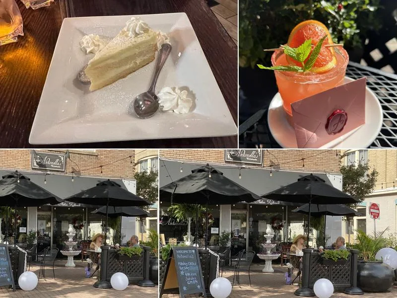 Antonella's Italian Ristorante business photo