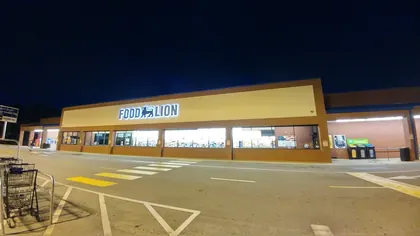 Food Lion, business photo 3